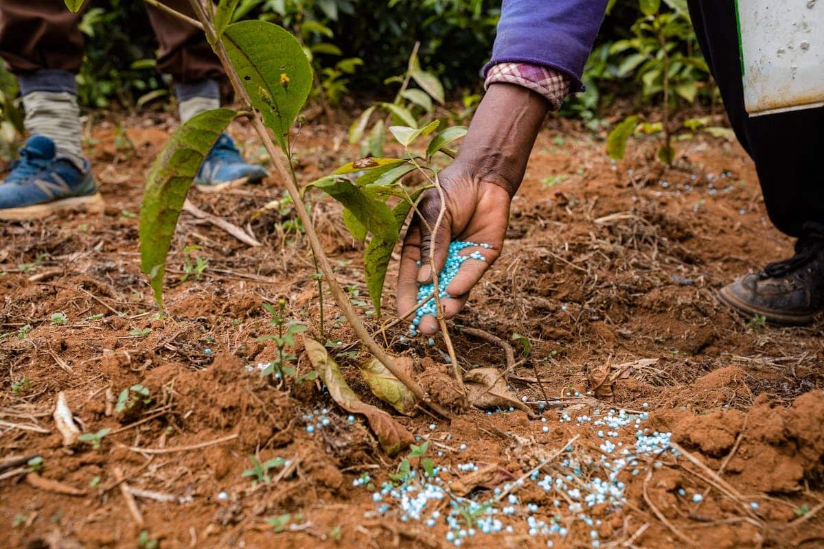 lombricomposteur  écologie