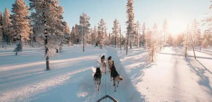 Les raisons de faire voyage en Finlande
