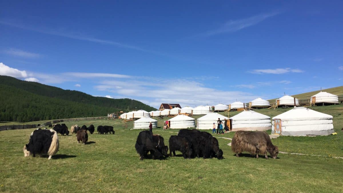 choisir la Mongolie pour votre prochain voyage les avantages