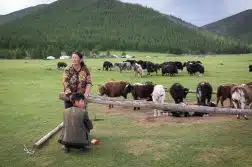 choisir la Mongolie pour votre prochain voyage les avantages