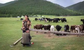 Choisir la Mongolie pour votre prochain voyage : les avantages