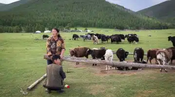 choisir la Mongolie pour votre prochain voyage les avantages