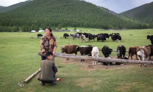 choisir la Mongolie pour votre prochain voyage les avantages