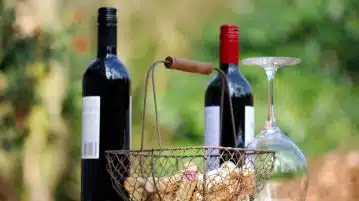 Offrir une box vin : le cadeau idéal pour les amateurs de dégustation